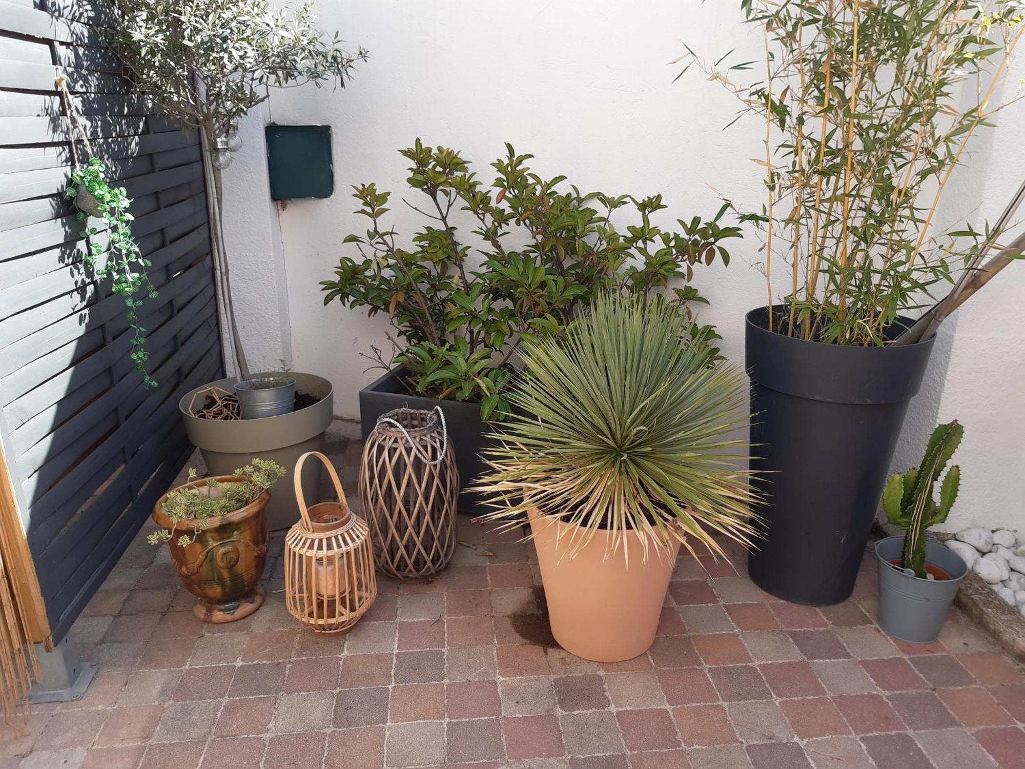 Grand Studio Avec Patio Apartment Marseille Exterior photo